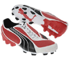 Puma v5.08